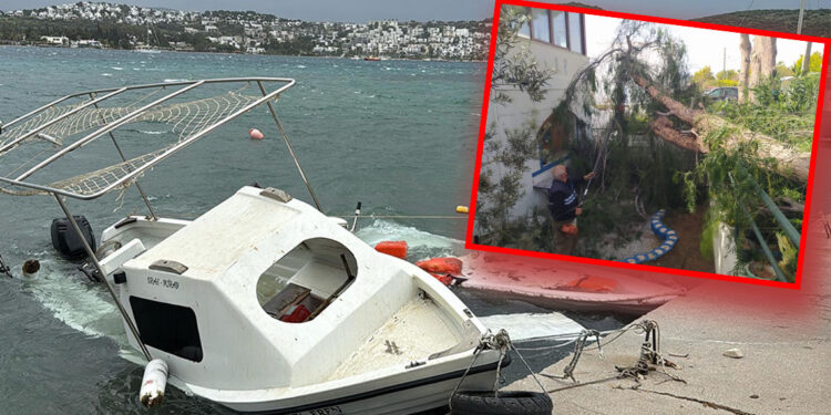 Bodrum'da 5 balıkçı teknesi suya gömüldü, ağaçlar devrildi