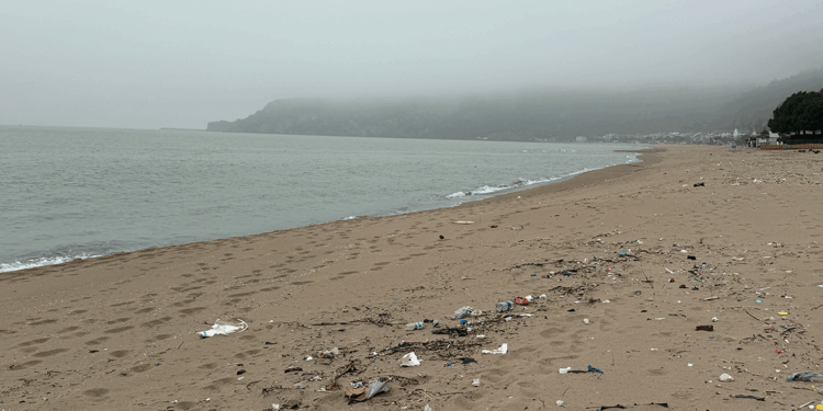 Bartın'da çöpler sahile vurdu