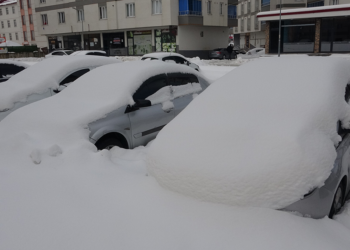Bitlis'te 74 köy yolu kar nedeniyle ulaşıma kapandı