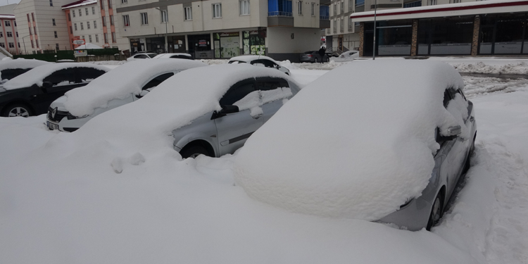 Bitlis'te 74 köy yolu kar nedeniyle ulaşıma kapandı