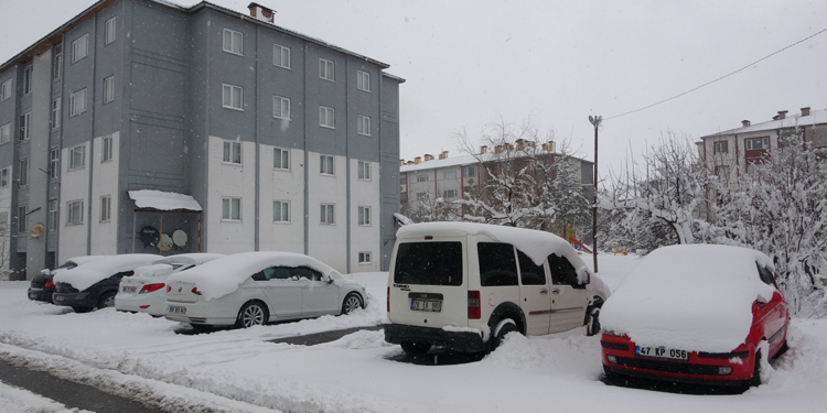 Bitlis'te kar yağışı; 60 köy yolu kapandı