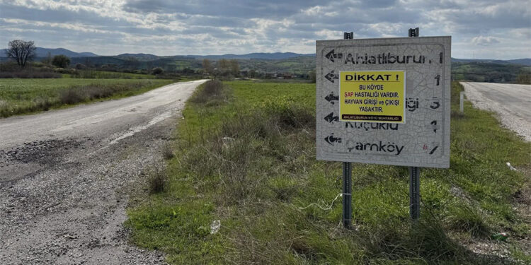 Ahlatliburun köyünde şap hastalığı alarmı