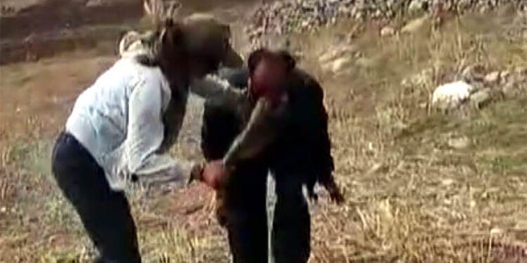 Çobanı sopayla döven kız kardeşlere hapis cezası ve tahliye