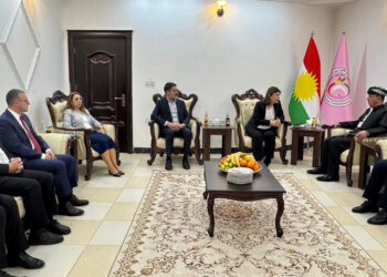DEM Parti'den Erbil'de 'silah bırakma' görüşmesi