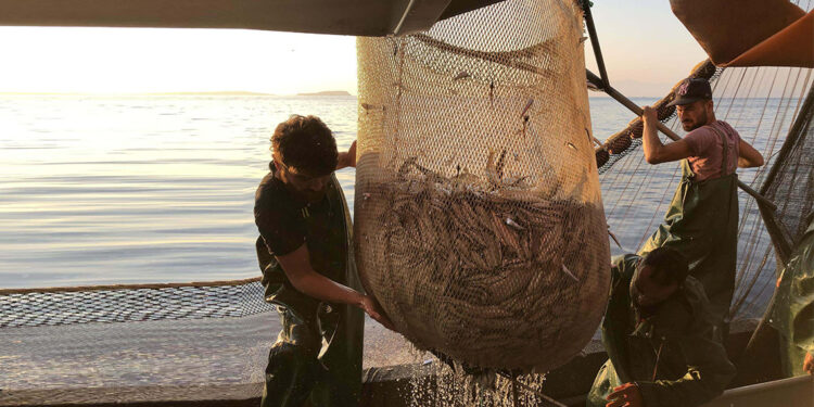 Ege Denizi'nde av yasağı 15 Nisan'da başlıyor