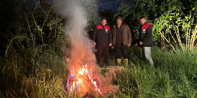 Düzce'de fındık bahçelerinde 'don ve buzlanma' mücadelesi
