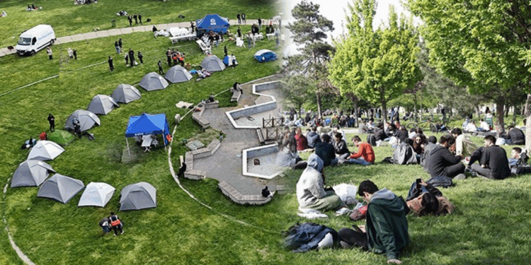 Depremden etkilenen vatandaşlar üniversite kampüsüne çadır kurdu