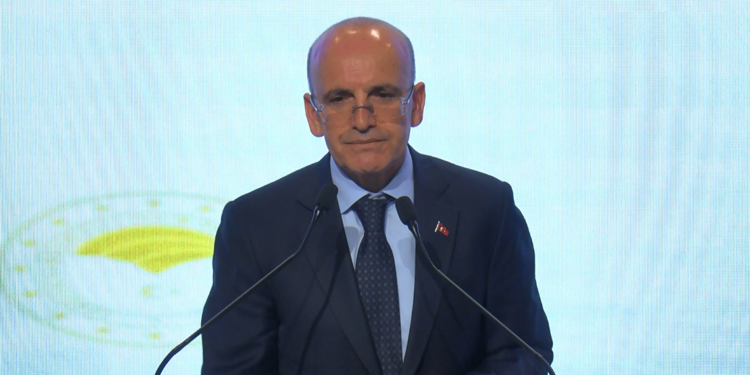 Dezenflasyonda başarı var, program çerçevesinde gidiyor