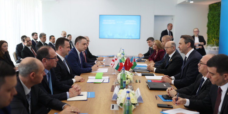 Dört ülkenin yeşil enerji mutabakatı