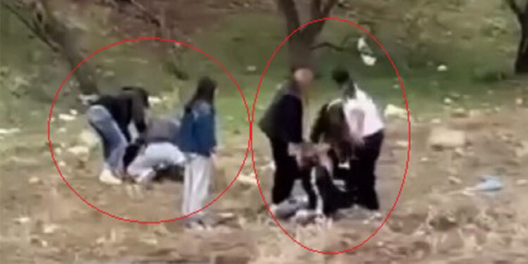 Elazığ'da genç kızların kavgası kamerada