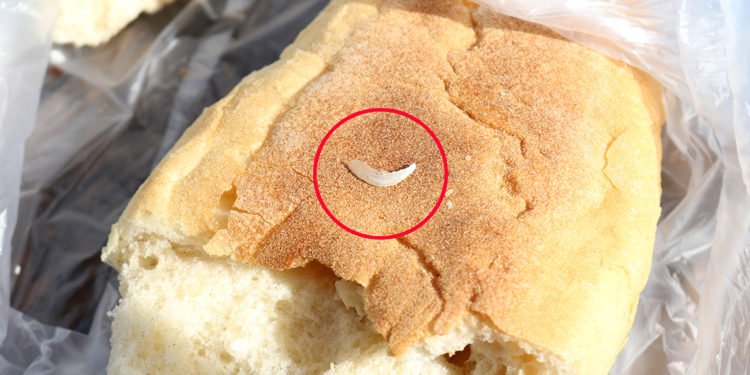 Ekmeğin içinde tırnak iddiası
