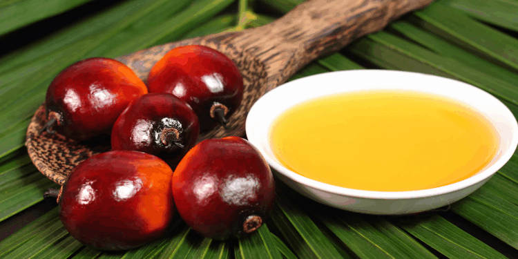 Endüstride kullanılan palm yağı sürdürülebilirlik sertifikası taşıyor
