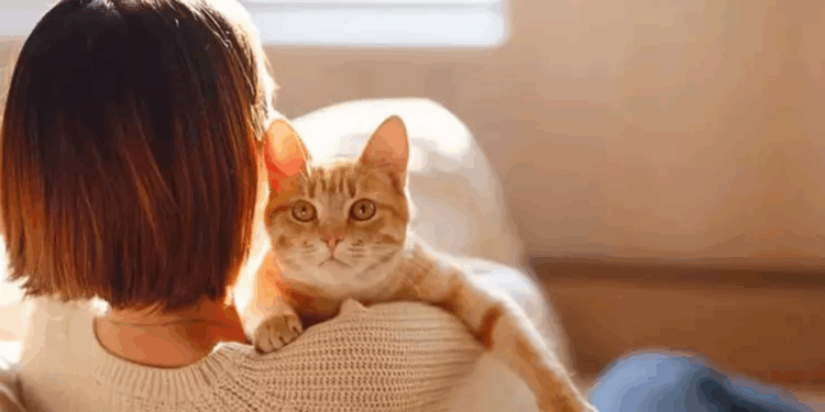 Evde hayvan beslemek, dijital bağımlılıktan uzaklaştırıyor