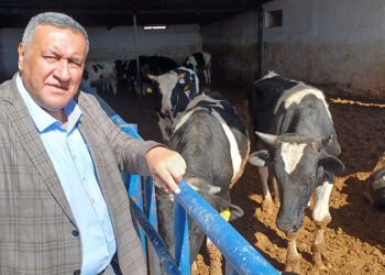 Kurbanlık fiyatları emekli ve asgari ücretlinin gelirini aştı
