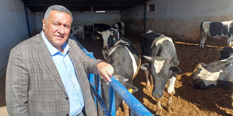 Kurbanlık fiyatları emekli ve asgari ücretlinin gelirini aştı