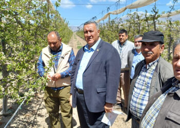 Don felaketinin acı tablosu; "Bu yıl ürün yok"