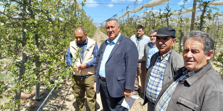 Don felaketinin acı tablosu; "Bu yıl ürün yok"