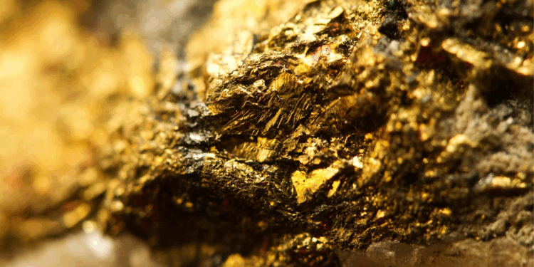 Fransız çiftçinin tarlasında 150 ton altın bulundu