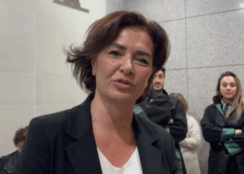 Gazeteci Özlem Gürses'e 1 yıl 3 ay cezası