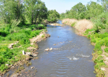 Gediz Nehri'nde bitmeyen kirlilik