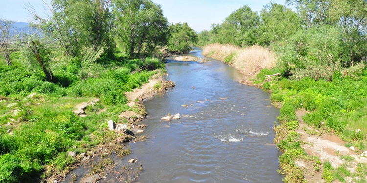 Gediz Nehri'nde bitmeyen kirlilik