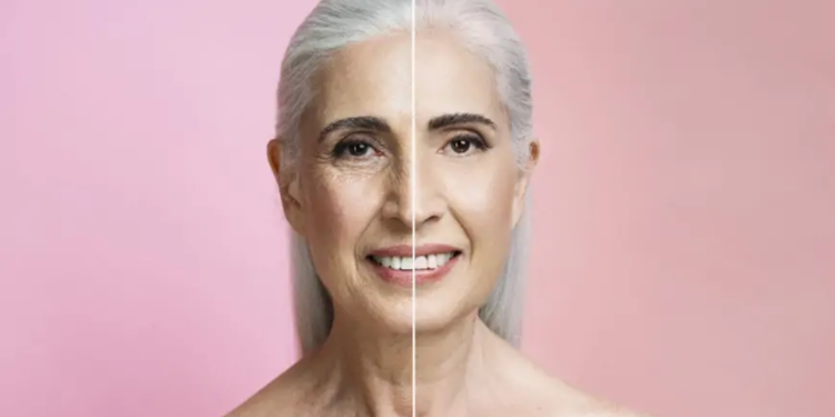 Hazır yemekler biyolojik yaşlanmayı hızlandırabilir