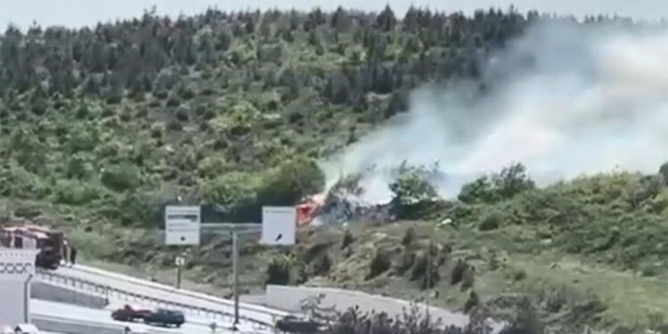 Arnavutköy'de ormanlık alanda yangın