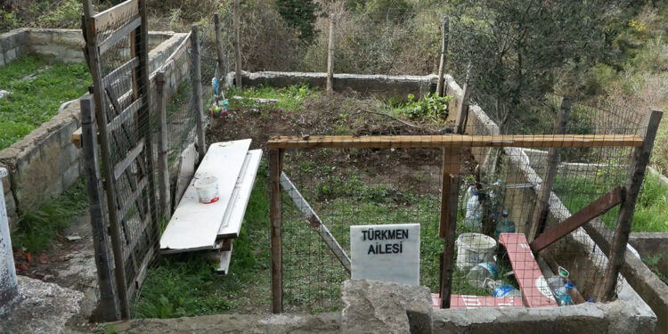 Dedesi olarak bildiği kişi babası olduğunu itiraf etti