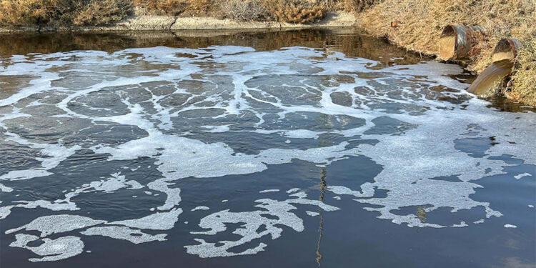 Gediz Nehri kapkara oldu
