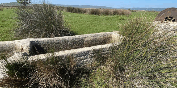İngiliz ve Fransızlar, Çanakkale'de kaçak arkeolojik kazı yapmış