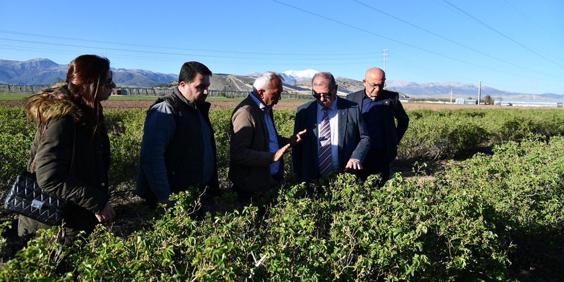 Isparta'da zirai don etkisi; elma, gül, kiraz ve kayısıda kayıp büyük