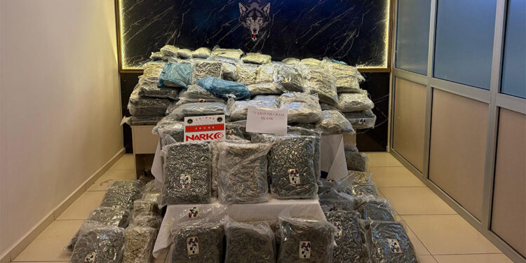 Kapıkule'de 2 TIR'da 171 kilo uyuşturucu ele geçirildi