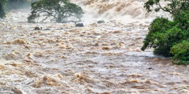 Kongo'da şiddetli yağış; 72 ölü