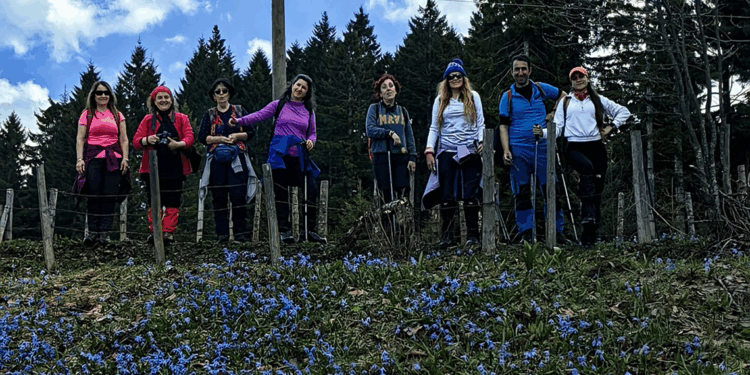 Kadıralak Yaylası, bu yıl da açan çiçeklerle mora büründü