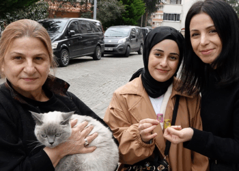 Kayıp kedisi ‘Badem’i bulanı altınla ödüllendirdi