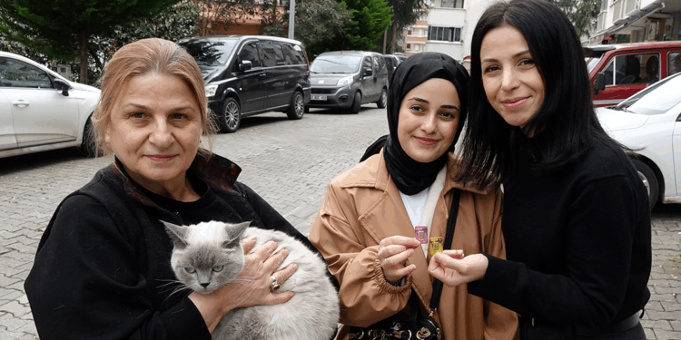 Kayıp kedisi ‘Badem’i bulanı altınla ödüllendirdi