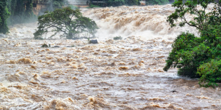Kongo Demokratik Cumhuriyeti'nde sel: 33 ölü