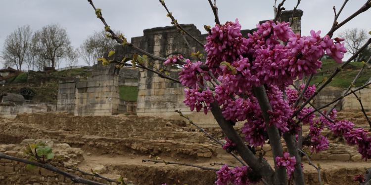Konuralp Antik Tiyatrosu, baharın gelişiyle renklendi
