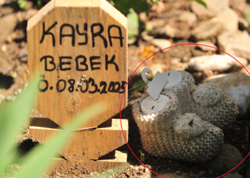 Kürtajla alınan cenin için ‘kaçak defin’ soruşturması