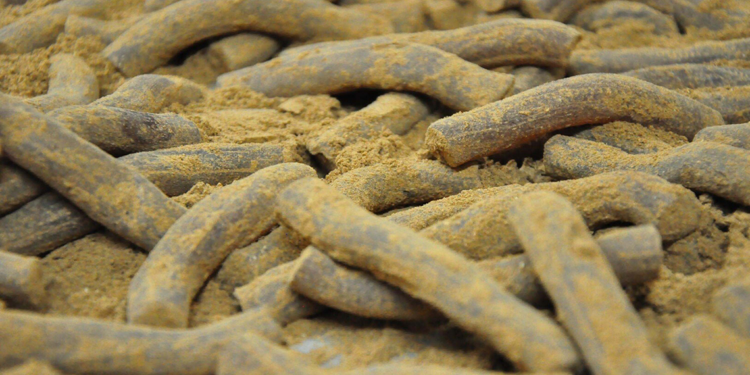 Manisa Mesir Macunu Festivali için mesai başladı