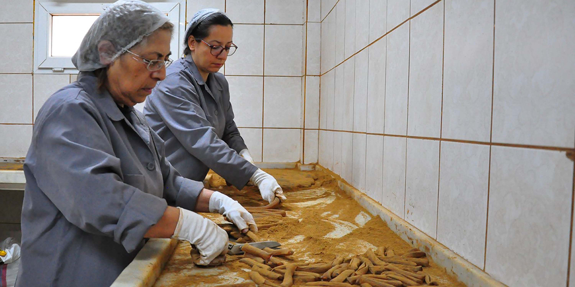 Manisa Mesir Macunu Festivali için mesai başladı