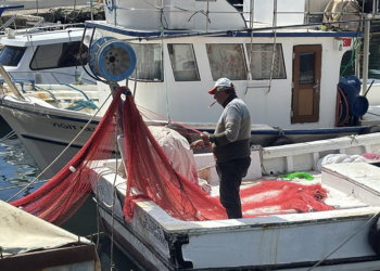 Marmara'yı müsilaj vurdu; Tekirdağ'da av sezonu erken bitti