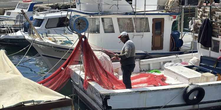 Marmara'yı müsilaj vurdu; Tekirdağ'da av sezonu erken bitti