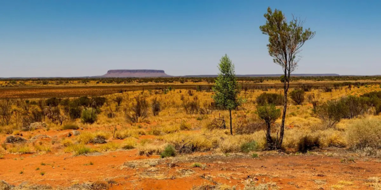 Mart 2025, küresel çapta en sıcak ikinci mart ayı oldu