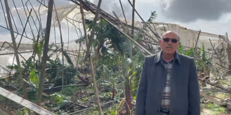 Mersin'de seraları hortum vurdu