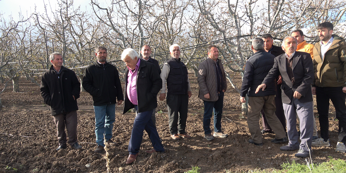 Meyve ağaçlarını zirai don vurdu; elmada yüzde 100 zarar