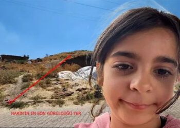 Narin cinayeti davası 25 Nisan'a ertelendi
