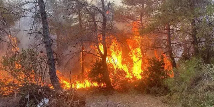 Nepal'de orman yangınlarında 4 kişi hayatını kaybetti