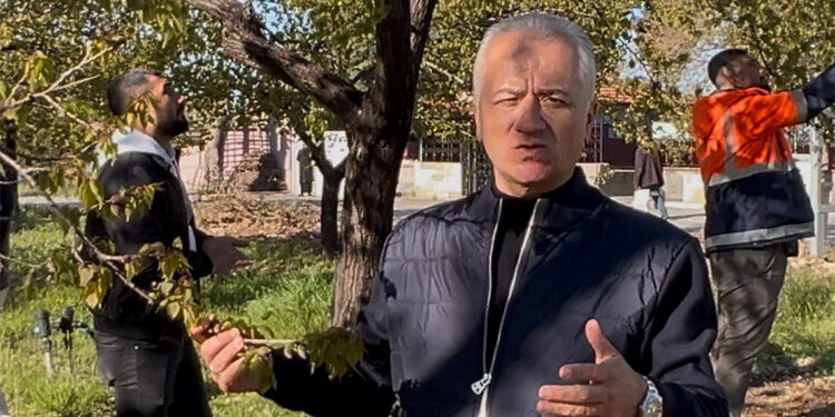 Malatya’da kayısı ağaçları dondan etkilendi