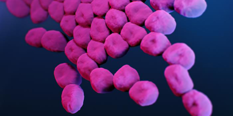 Ölümcül antibiyotik dirençli ‘süper bakteri’ tespit edildi